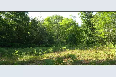 83Xxx - Lot 13 Ashwabay Road, Bayfield, WI 54814 - Photo 3