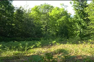 83Xxx - Lot 13 Ashwabay Rd, Bayfield, WI 54814 - Photo 3