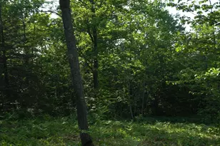 83Xxx - Lot 13 Ashwabay Rd, Bayfield, WI 54814 - Photo 7