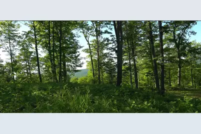 83Xxx - Lot 11 Ashwabay Road, Bayfield, WI 54814 - Photo 9