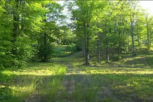 83Xxx - Lot 11 Ashwabay Rd, Bayfield, WI 54814 - Photo 11