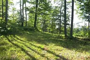 83Xxx - Lot 11 Ashwabay Rd, Bayfield, WI 54814 - Photo 5