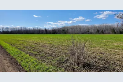 16355 Wildflower Lane NE, Blackduck, MN 56630 - Photo 5
