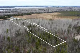 Tbd Parcel 15 Hwy 115, Tower, MN 55790 - Photo 1