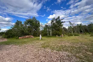 2101 Frohn Rd NE, Bemidji, MN 56601 - Photo 79