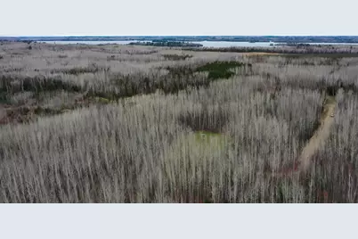 Tbd Parcel 20 Hwy 115, Tower, MN 55790 - Photo 5