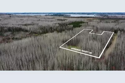 Tbd Parcel 20 Hwy 115, Tower, MN 55790 - Photo 1