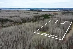 Tbd Parcel 20 Hwy 115, Tower, MN 55790 - Photo 1