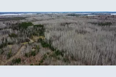 Tbd Parcel 20 Hwy 115, Tower, MN 55790 - Photo 3