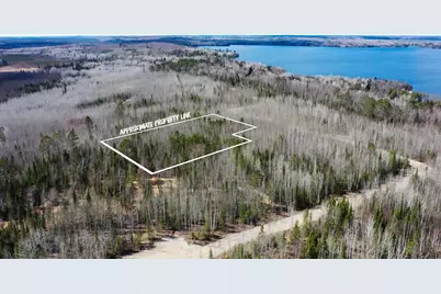 Tbd Parcel F Frazer Bay Road, Cook, MN 55723 - Photo 1