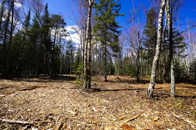 Tbd Parcel G Frazer Bay Road, Cook, MN 55723 - Photo 11