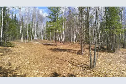Tbd Parcel I Frazer Bay Road, Cook, MN 55723 - Photo 3