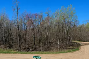Tbd Flower Trail, Breezy Point, MN 56472 - Photo 1