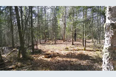Parcel W Tbd Frazer Bay Road, Cook, MN 55723 - Photo 3