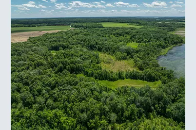 38Xxx 385th Street, Richville, MN 56576 - Photo 37