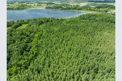 38Xxx 385th Street, Richville, MN 56576 - Photo 39