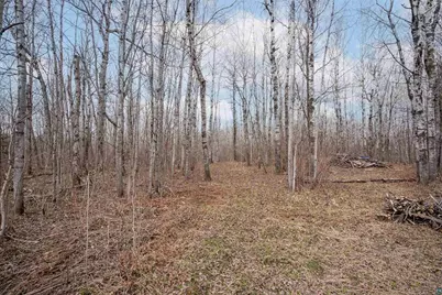 255 E Harney Road, Esko, MN 55733 - Photo 9