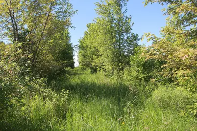 Tbd 60th Street, Blue Earth, MN 56013 - Photo 5