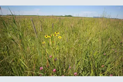 Tbd 60th Street, Blue Earth, MN 56013 - Photo 21