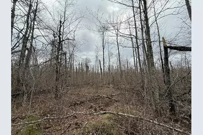 3854 Rasmussen Rd., Floodwood, MN 55798 - Photo 63