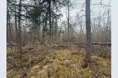 3854 Rasmussen Rd., Floodwood, MN 55798 - Photo 59