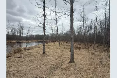 3854 Rasmussen Rd., Floodwood, MN 55798 - Photo 49