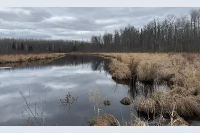 3854 Rasmussen Rd., Floodwood, MN 55798 - Photo 13