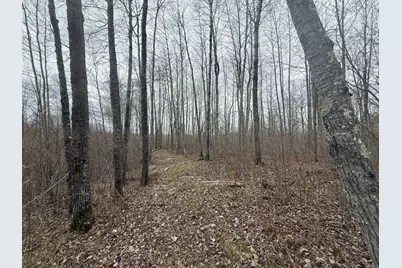 3854 Rasmussen Rd., Floodwood, MN 55798 - Photo 17