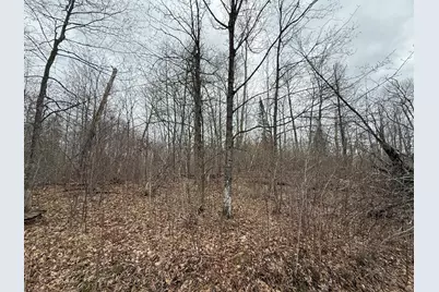 3854 Rasmussen Rd., Floodwood, MN 55798 - Photo 47
