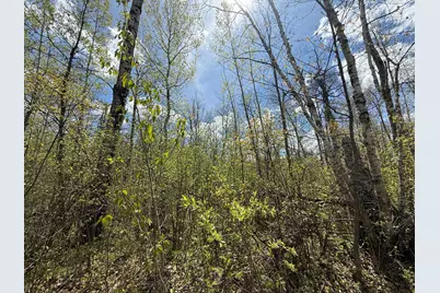 3854 Rasmussen Rd., Floodwood, MN 55798 - Photo 11