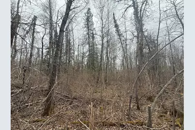 3854 Rasmussen Rd., Floodwood, MN 55798 - Photo 83