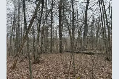 3854 Rasmussen Rd., Floodwood, MN 55798 - Photo 61