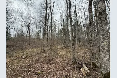 3854 Rasmussen Rd., Floodwood, MN 55798 - Photo 39