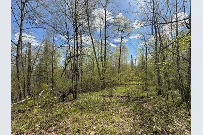 3854 Rasmussen Rd., Floodwood, MN 55798 - Photo 13