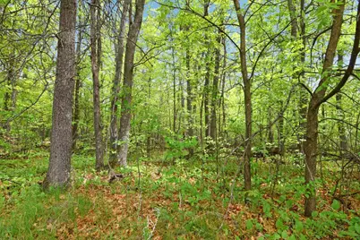 Xxx Maplewood Drive, East Gull Lake, MN 56401 - Photo 7