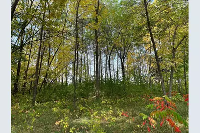 Tbd Wild Rose Trail, Frazee, MN 56544 - Photo 19