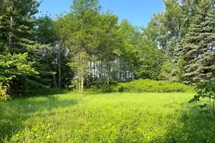 Tbd Wild Rose Trail, Frazee, MN 56544 - Photo 1