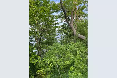 Tbd Wild Rose Trail, Frazee, MN 56544 - Photo 13
