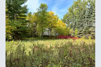 Tbd Wild Rose Trail, Frazee, MN 56544 - Photo 17