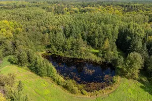 20634 Co Rd 530, Bovey, MN 55709 - Photo 17