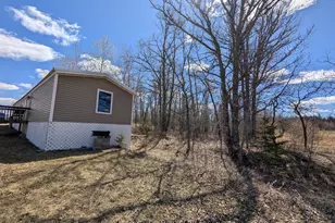 970 Wynkoop Rd NW, Puposky, MN 56667 - Photo 3