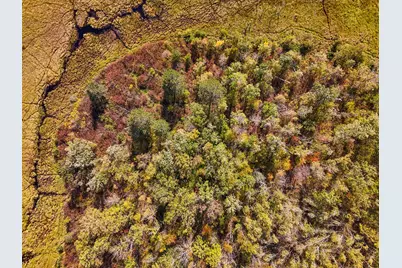 Parcel #3 Tbd County 9, Becida, MN 56678 - Photo 11
