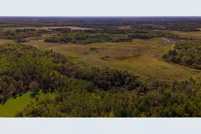 Parcel #3 Tbd County 9, Becida, MN 56678 - Photo 15