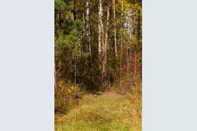 Parcel #3 Tbd County 9, Becida, MN 56678 - Photo 33