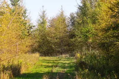 Parcel #3 Tbd County 9, Becida, MN 56678 - Photo 29