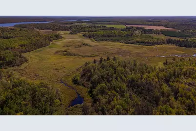 Parcel #3 Tbd County 9, Becida, MN 56678 - Photo 13