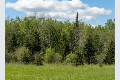 Tbd Wildflower Lane NE, Blackduck, MN 56630 - Photo 3
