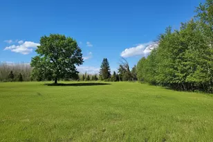 Tbd Wildflower Ln NE, Blackduck, MN 56630 - Photo 1