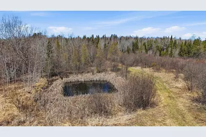 8849 Hwy 25, Angora, MN 55703 - Photo 9