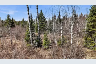 8849 Hwy 25, Angora, MN 55703 - Photo 17